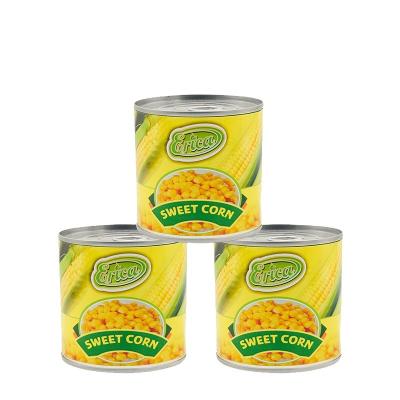 China 340 grams canned fresh export kernel crunchy sweet corn in brine for russian market for sale