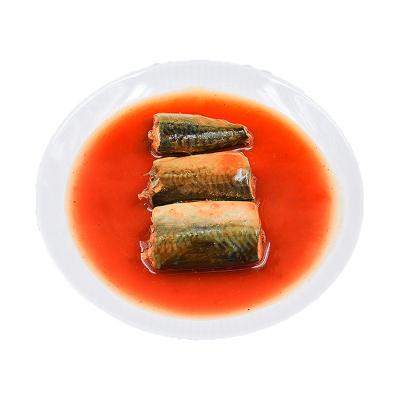 China High Quality Canned Canned Mackerel In Tomato Sauce And Oil 155g Porcelain Easy Open for sale