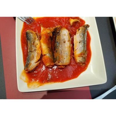 China High Quality Canned Canned Mackerel In Tomato Sauce And Oil 155g Porcelain Easy Open for sale