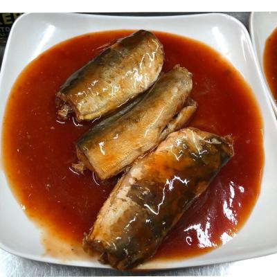 China Good Price Canned 425 Grams Hot Selling Tin Packing Canned Mackerel Fish In Tomato Sauce for sale