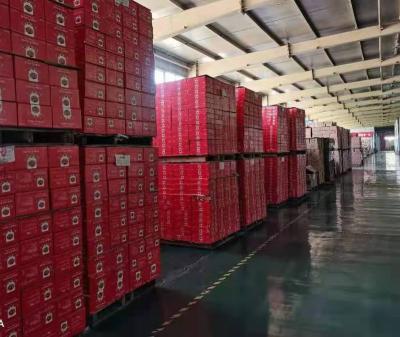 China Canned Tomato Canned Good Quality Lowest Price Tomato Sauce Supplier From China TP2200 for sale