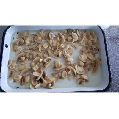 China Canned Food Canned Mushroom For Middle East Mushroom In Brine Hot Sale Mushroom Slice for sale