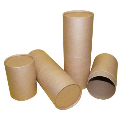 China Eco - Friendly Custom Natural Cardboard Biodegradable Pet Cremes Scatter Urn Tube for sale