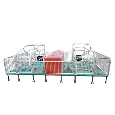 China Durable Galvanized Pipe Hog Farming Bed Crate Farrowing Fare Prices for sale