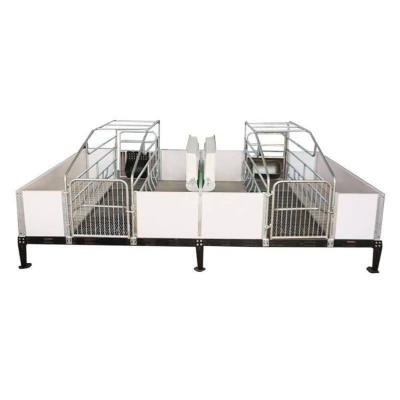 China Durable Hot Selling Pig Farm Equipment Farrow Crate for sale