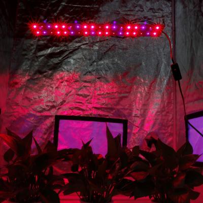 China Seed Starting New Waterproof Full Spectrum Led To Grow For Light Bar Cree LED Chip Vertical Led Grow Light Hydroponic Panel for sale