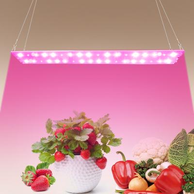 China Seed Starting Best Waterproof Full Spectrum 350W Led Grow Lights CREE Chip Led Uv Grow Light For Indoor Plant for sale