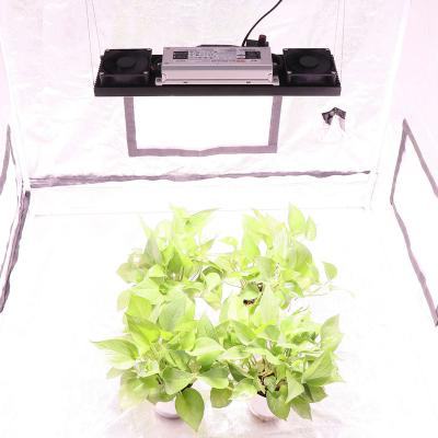 China Seed Plant Growing Module 200W Indoor Plant LED UK Stock DIY YXO Grow Light Hydroponics Plant Grow Lights for sale