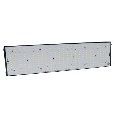 China Seed Starting YXO EU UK Stock High Ppfd Panel lm301h Led Panel Grow Light Kits Full Spectrum 200w Led Grow Light for sale