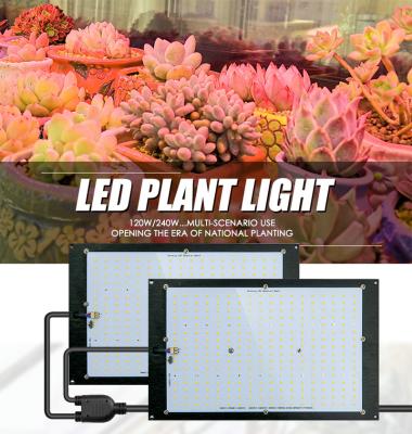 China Seed Starting Sam-Sungs Lm301H Lm301B Plants Commercial Bulb Full Spectrum Controller Indoor Led Grow Light Head Panel for sale