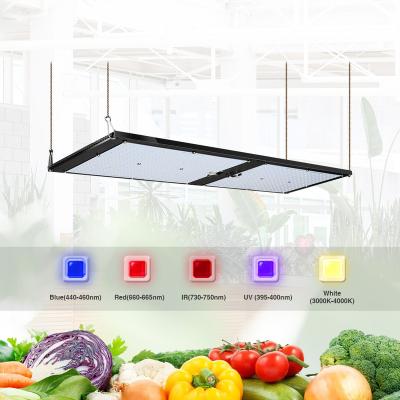 China Adjustable Spectrum Hydroponic Seed Starting Led Grow Light Strips 120W 240W Full Spectrum Led For Growing Light for sale