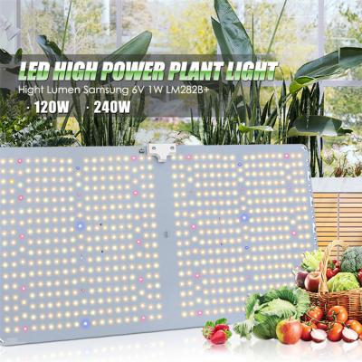 China Seed Seed Growing Led Greenhouse Hydroponic Plant Lm282b Lm281b High Grow Light 120W 240W Ppfd Led Grow Light for sale