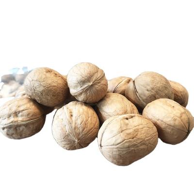 China Good Price Dry Walnut with Shell Chinese Walnut for sale