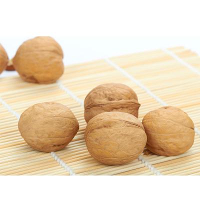 China Dry dry walnut nut kernel for agro food and snack for sale