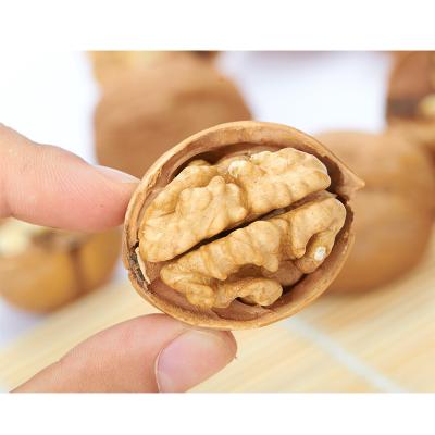 China Wholesale Cheap Price China Dried Health Nut Nuts in Shell for sale