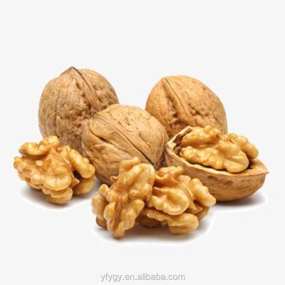 China Excellent Quality Thin-Skin Dried Raw Walnut With Bulk Shell Wholesale for sale