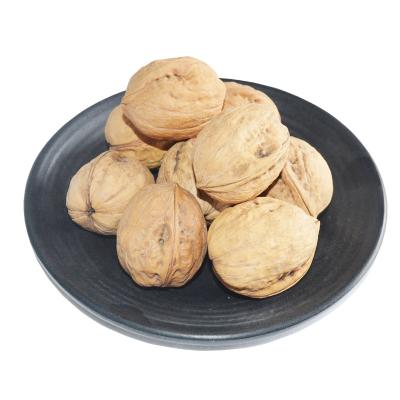 China Dry Walnut in Shell Thin Shell Walnut Big Size from China Factory for sale