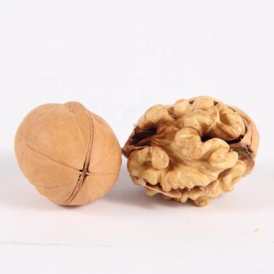 China Top Grade Xinjiang Dried Fruit Peeled Walnut 185 Walnut Paper Peeled Kernels For Sale for sale