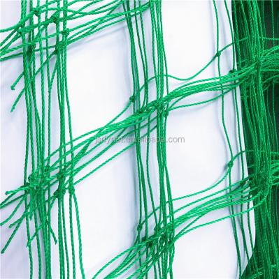 China Other agricultural factory direct sale greenhouse insect net for sale