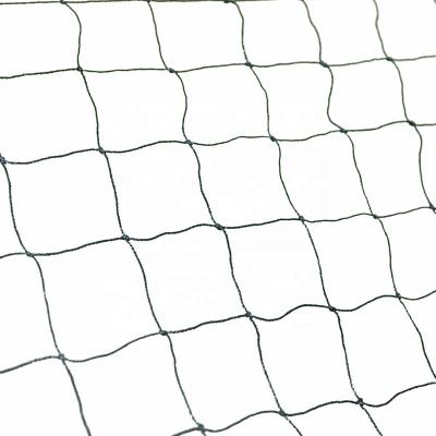 China HDPE +UV stabilized wholesale plastic plant protection anti-bird netting for sale