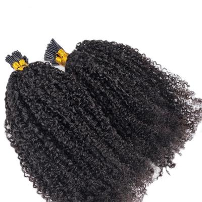 China 100% Virgin Curly Curly Human Hair I Tip Curly Raw Unprocessed Curly Hair I Tip Hair Extension for sale