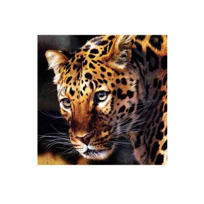 China Wholesale Europe 3d Lenticular 3d Picture Poster Tiger 3d Pictures for sale