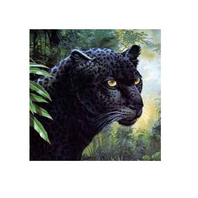 China Europe 3d lenticular animal 3d pictures home decoration poster for sale