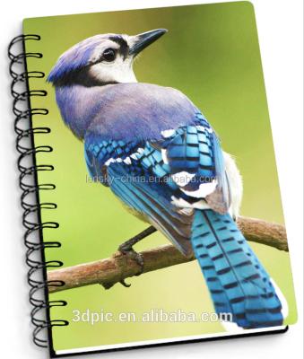 China 3D Personalize Notepad Factory Spiral Binding Lenticular Notebook for sale