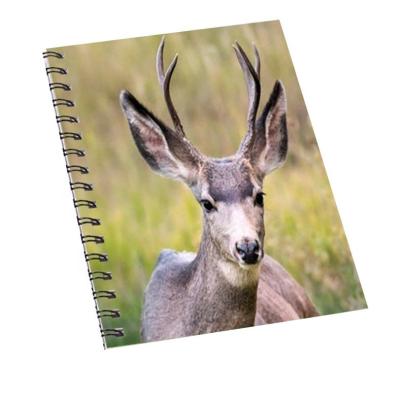 China 3D Fancy Writing Book 3D Lenticular Notebook Custom For Kids for sale