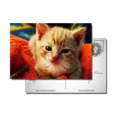 China 3D lenticular postcard 3d animal cats and dogs lenticular postcards for sale