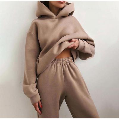 China 2021 Anti-wrinkle Winter Sport Wear Fashion 2 Piece Set Outfit Tracksuits For Women for sale