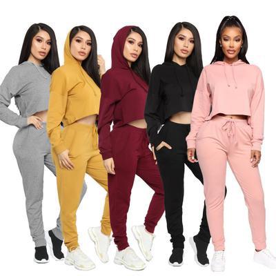 China High Quality Anti-wrinkle Fashion Hip Hop Two Piece Set Cropped Pullover Women's Hoodie Sweatshirt Suits for sale