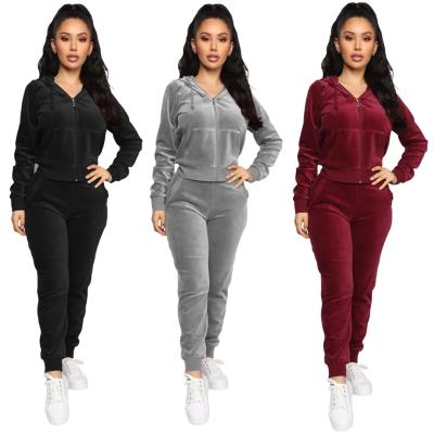 China OEM&ODM QUICK DRY new arrival 2021 good quality women outfits velor 2 pieces set women two pieces tracksuits hoodies long sleeve for sale