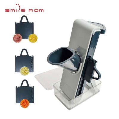 China Sustainable Multifunctional Kitchen Instruments Hand Vegetable Cutter Shredder Mandoline Manual Slicer for sale