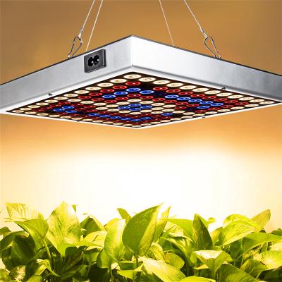 China Easy Install LED Grow Light 25W with Sunlike Dimmable Timer Lights, Full Spectrum for Veg and Flower for sale