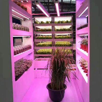 China Eco-friendly T8 3FT 4FT Tube LED Grow Light Bars For Hydroponics Seedlings Vegs Greens Grow Tent Full Spectrum Warm Plant Lamp for sale