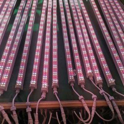 China Easy Install 2022 2ft 3ft 4ft T5 T8 Full Spectrum Waterproof Led Tube Plant Growth Grow Light Lamp For Indoor Greenhouse for sale