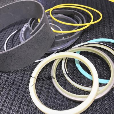 China 2478878 4560209 5185135 Hydraulic Cylinder Seal Kits for Excavator for sale