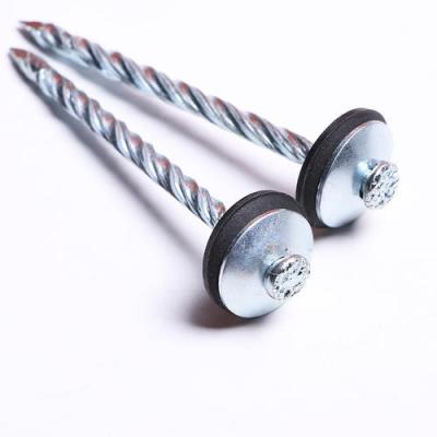 China Construction Wood Electro Galvanized Roof Coil Nails Factory Roofing Nail Roofing Coil Nails for sale