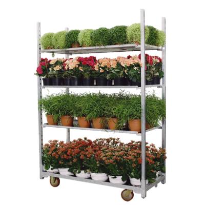 China Plants greenhouse and garden flower cart cart factory price for sale