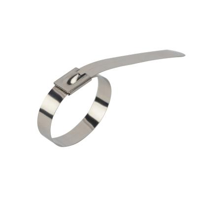 China Acid Resistance Stainless Steel Cable Tie Clamp For Bundling Pipe for sale