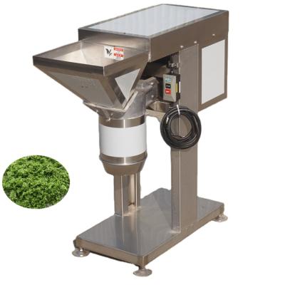 China food & Beverage Factory Fruit and Vegetable Grinding Machine Garlic Mincing Machine Ginger Paste Making Machine for sale