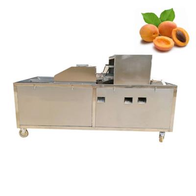 China Multifunctional dates plum kernel remover machine cherry dates fruit pitting machine for sale