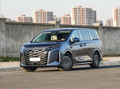 中国 1100kmの範囲 BYD Xia MPV 5145MM 長さ ビジネスと家庭用電気自動車 販売のため