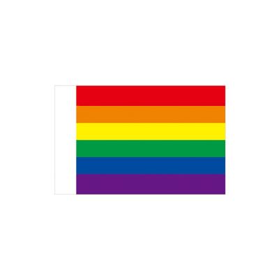 China Direct wholesale eco-friendly waterproof runtime fine color bright rainbow flag for sale for sale