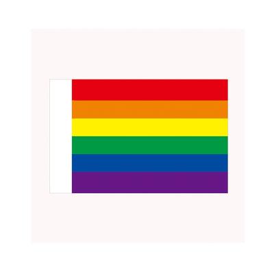 China High Quality Customizable Wholesale Eco-Friendly Waterproof 3x5ft Rainbow Flag For Indoor Outdoor Show for sale