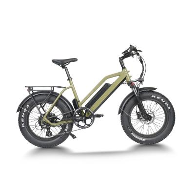 China High cost performance 48v 500-1000w China aluminum alloy powerful fat tire electric bicycle /off-road ebike for sale