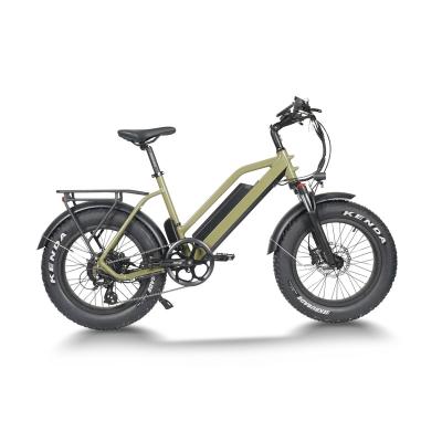 China Aluminum alloy new arrival 48v 500w 750w high quality fat tire bicycle electric bicycle /cargo ebike for sale