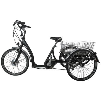 China New Arrival 36v 350w Hub Steel Brushless Motor 3 Wheel Electric Bike With Battery for sale