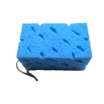 China Good Wash Station Wholesale Clean Color Manufacturers Bath Cleaning Coral Sponge for sale